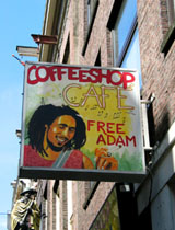 Amsterdam Coffee Shop  on Amsterdam Drug Laws