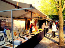 Artplein market Amsterdam