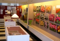 The Tulip Museum Displays