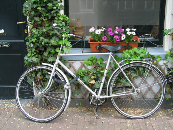 Bike with Flowers Amsterdam