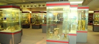 Museum Vrolik Exhibitroom