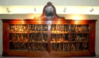 Museum Vrolik Displaycase