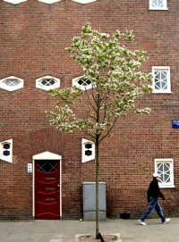Amsterdam School of Architecture