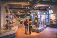 Amsterdam Tropen Museum Exhibits