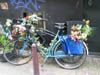 bike_flowers