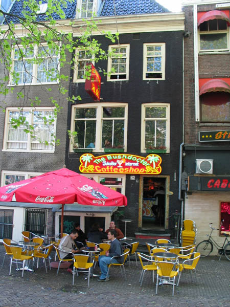 Coffeeshop The Bushdocter Amsterdam