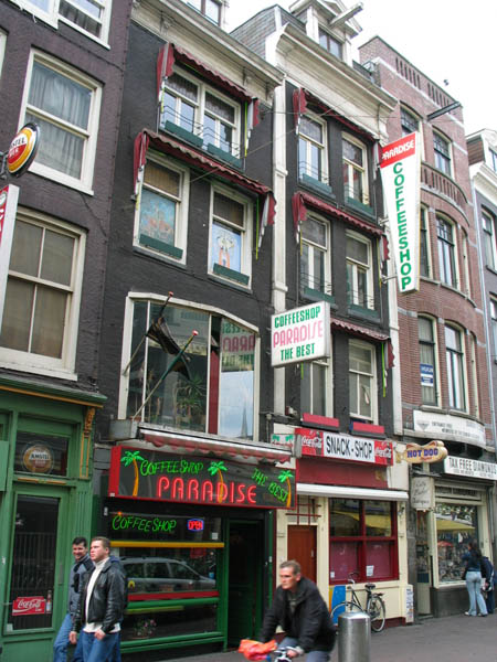 Coffeeshop Paradise Amsterdam