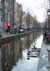 Amsterdam Red Light District Pictures Photos Canal