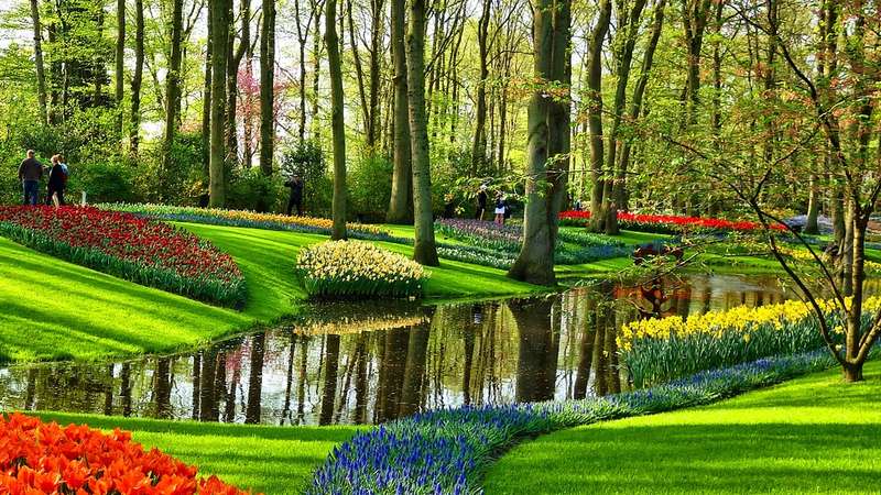 Amsterdam atracción Keukenhof jardín de flores pasarela