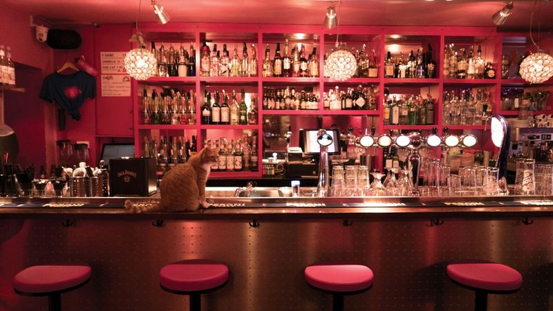 Gay Amsterdam - Insider tips for Clubs & Bars - Pinksider