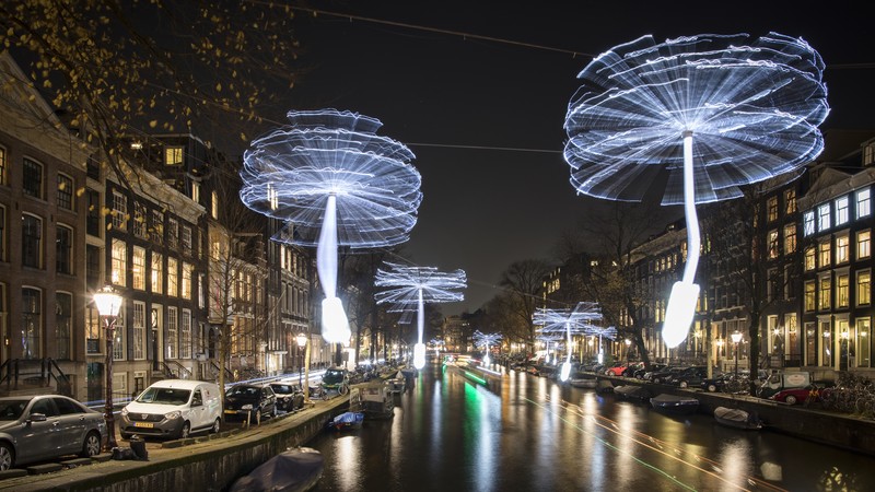 амстердамский фестиваль света одуванчик арт