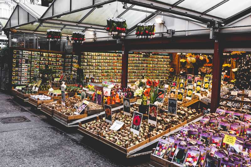 amsterdam market flowers bulb shop