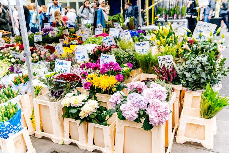 amsterdam market flowers flowers display 